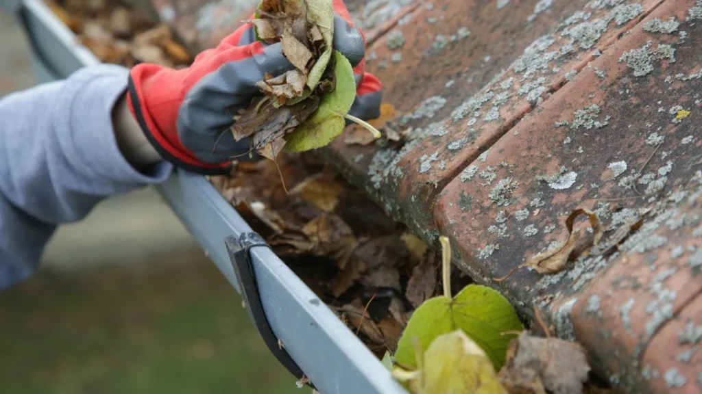 Gutter Cleaning in lexington