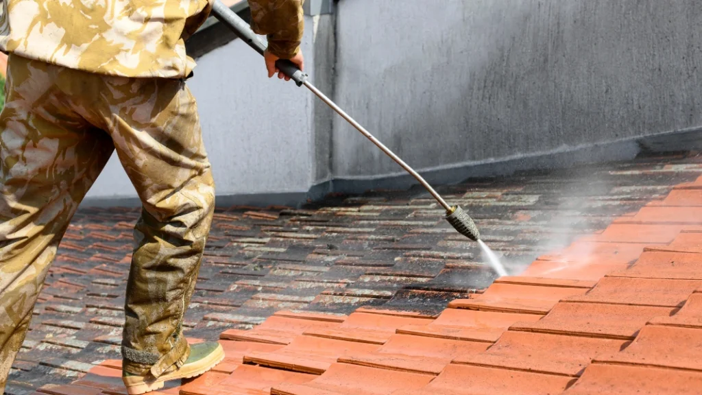 Roof Cleaning Lexington